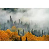 Karo-art Fotobehang Mist Over Herfstbos - Vliesbehang - 520 x 318 cm
