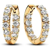 Pandora Timeless - Oorbellen Voor Dames