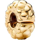 Pandora Moments - Bedel Voor Dames