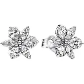 Pandora Stijlvolle Pandora 292633C01 Dames Oorbellen
