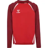 Hummel Sportief sweatshirt 'Lead 2.0' rood / donkerrood / wit