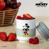 Tupperware iso go food- mickey