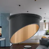 Braytron ALFA Inbouwspot Rond Zwart/ Goud DOWNLIGHT