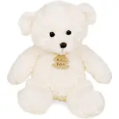 Histoire D'ours Bär Calin
