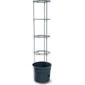 Prosperplast Tomatoes 29.5x29.5x 31.5-153 Cm Bloempot