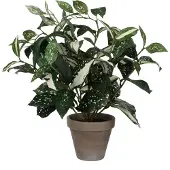 Mica Kunstplant Cordyline, hoogte 35 cm, Ø 25 cm, groen