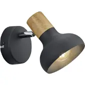 TRIO Wandlamp Latika zwart