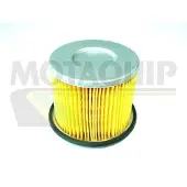 MOTAQUIP VFF202 Brandstoffilter