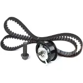 INA Distributieriemset 530016410 Ina voor o.a. AUDI, SEAT, VOLKSWAGEN