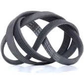 CONTITECH Multiriem 5PK1236 ELAST Contitech voor o.a. HYUNDAI