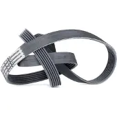CONTITECH Multiriem 6PK1560 Contitech voor o.a. BMW, CHEVROLET, CITROEN, FORD, LAND ROVER, MG, PEUGEOT, ROVER, TOYOTA