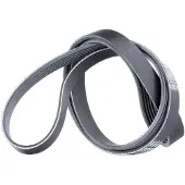 CONTITECH Multiriem 6PK1538 Contitech voor o.a. BMW, FORD, OPEL, TOYOTA, VOLKSWAGEN