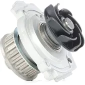 Valeo 506640 Waterpomp