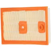 Champion CAF101067P Luchtfilter