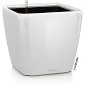 Lechuza QUADRO Premium LS 21 - Plantenbak - met uitneembare binnenbak - met bewateringssysteem - ALL-IN-ONE set met LECHUZA-PON - wit hoogglans