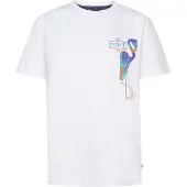 Petrol Industries Shirt gemengde kleuren / wit