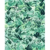 Overig Fotobehang Evergreen - Groen - 2,50m X 200cm