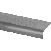 Praxis Traplijst Aluminium 15x40mm 100cm