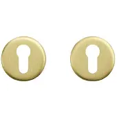Axa Deurbeslag | Cilinderrozet | (Rond, Aluminium, Goud)