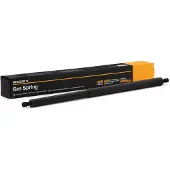 RIDEX 219G1129 Gasveer achterklep
