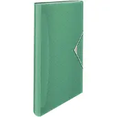 Esselte Colour'Breeze A4 Uitzetbare Projectmap - Organiser met 5 Tabbladen/6 Vakken - Groen
