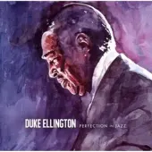 Socadisc Cnt PERFECTION IN JAZZ