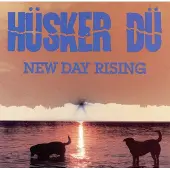 Bertus Distributie New Day Rising