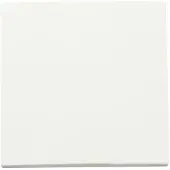 ION Industries Dimmerknop | | E1 (Enkel, Mat wit)
