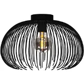 Eglo Plafondlamp Alhabia Zwart