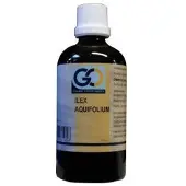Go Ilex aquafolium