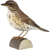 Wildlife Garden DecoBird - zanglijster