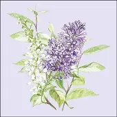 Ambiente - Lunch servetten - Lilac Lila