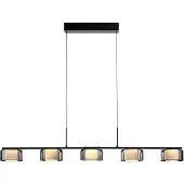 Paul Neuhaus 5 Lichts Hanglamp Rika Zwart