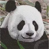 Brandunit Diamond painting - kaart reuzenpanda