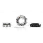 BSG 30-600-002 Wiellagerset