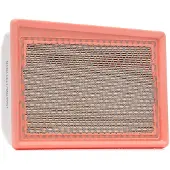 RIDEX 8A1660 Luchtfilter