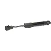 RIDEX 219G0375 Gasveer achterklep