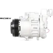 RIDEX 447K0229 Aircopomp