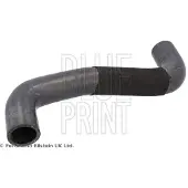 Blue Print ADBP930016 Radiateurslang