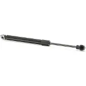 RIDEX 219G0216 Gasveer achterklep