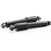RIDEX 854S17796 Schokdemper