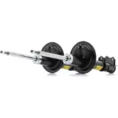 RIDEX 854S2209P Schokdemper