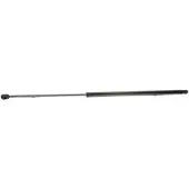 RIDEX 219G0353 Gasveer achterklep
