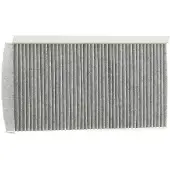 Delphi TSP0325296C Interieurfilter