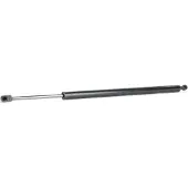 RIDEX 219G0940 Gasveer achterklep