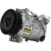 RIDEX 447K0256R Aircopomp