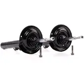 RIDEX 854S2079 Schokdemper