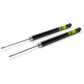 RIDEX 854S1540P Schokdemper