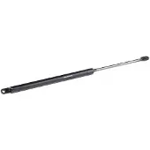RIDEX 219G0682 Gasveer achterklep