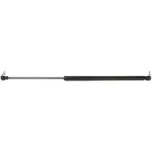 RIDEX 219G0706 Gasveer achterklep